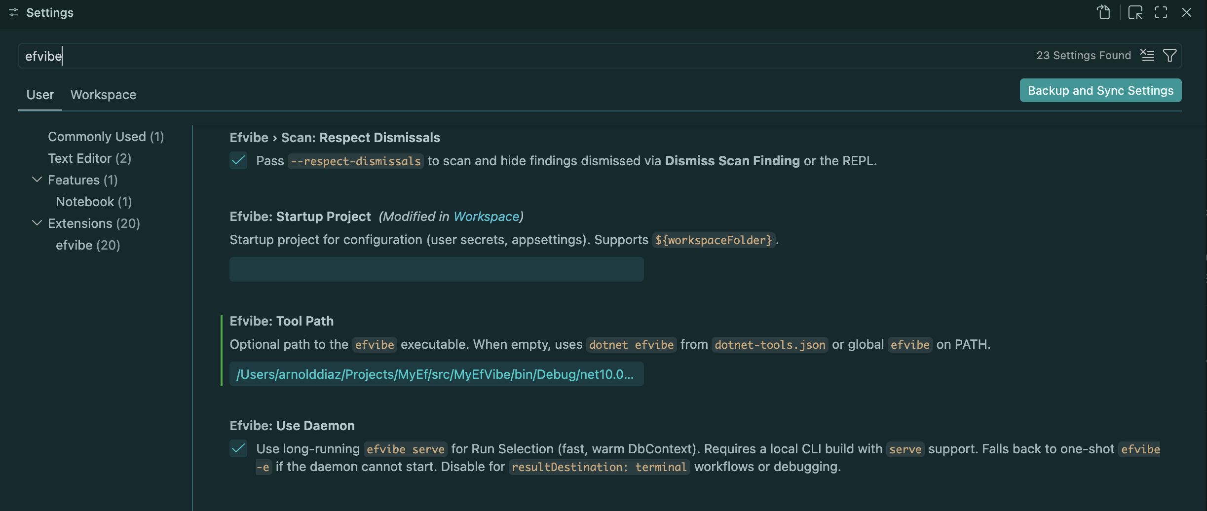VS Code settings.json with efvibe.project, startupProject, and context configured